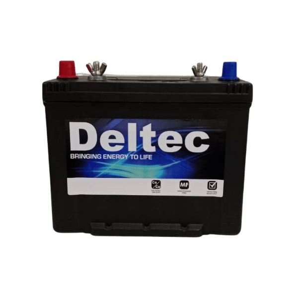 Deltec Blue M24MF Dual Purpose Battery