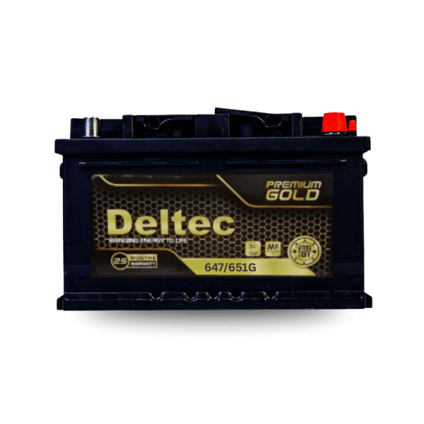 Deltec 647/651 Gold Automotive Battery