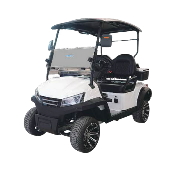 HALO ELV2 GTR (2 seater) Electric Golf Cart