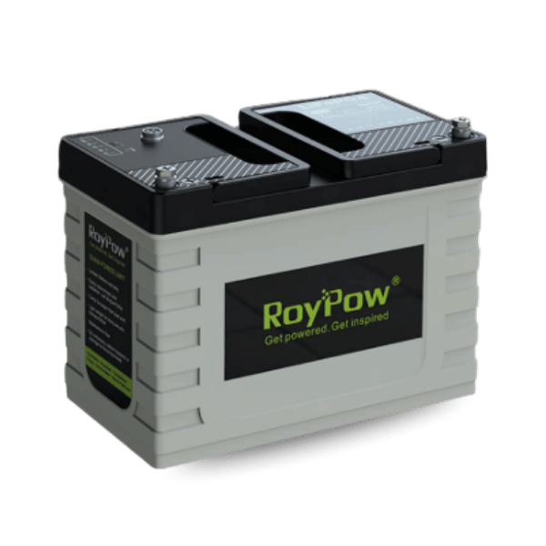 RoyPow Lithium Battery 24v 50Ah